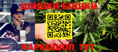 jwh Новозыбков