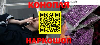 jwh Новозыбков
