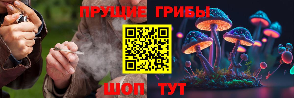 Спасск-Дальний  Псилоцибиновые грибы Psilocybine cubensis  Псилоцибиновые грибы Psilocybe  Вход с VPN 